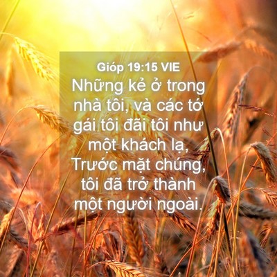 Picture 04 - Gióp 19:15 VIE - Những kẻ ở trong nhà tôi, và các tớ - Bible Verse Picture