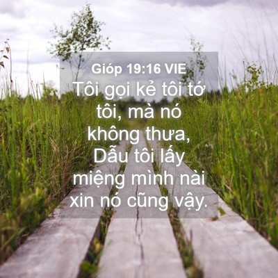 Picture 04 - Gióp 19:16 VIE - Tôi gọi kẻ tôi tớ tôi, mà nó không - Bible Verse Picture