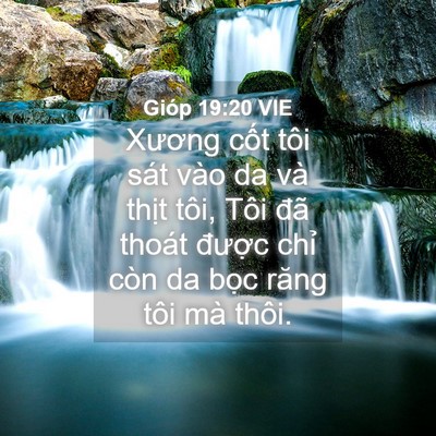 Picture 04 - Gióp 19:20 VIE - Xương cốt tôi sát vào da và thịt tôi, - Bible Verse Picture