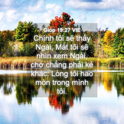 Picture 04 - Gióp 19:27 VIE - Chính tôi sẽ thấy Ngài, Mắt tôi sẽ - Bible Verse Picture