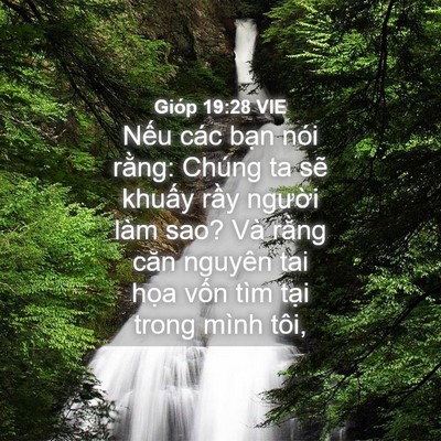 Picture 04 - Gióp 19:28 VIE - Nếu các bạn nói rằng: Chúng ta sẽ - Bible Verse Picture
