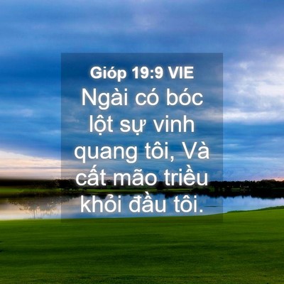 Picture 04 - Gióp 19:9 VIE - Ngài có bóc lột sự vinh quang tôi, Và - Bible Verse Picture