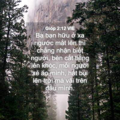 Picture 04 - Gióp 2:12 VIE - Ba bạn hữu ở xa ngước mắt lên thì - Bible Verse Picture
