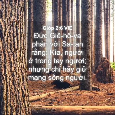 Picture 04 - Gióp 2:6 VIE - Đức Giê-hô-va phán với Sa-tan rằng: - Bible Verse Picture