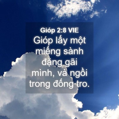 Picture 04 - Gióp 2:8 VIE - Gióp lấy một miếng sành đặng gãi - Bible Verse Picture