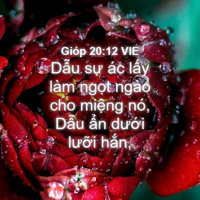 Picture 04 - Gióp 20:12 VIE - Dẫu sự ác lấy làm ngọt ngào cho - Bible Verse Picture