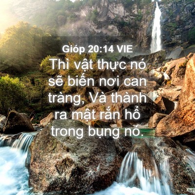 Picture 04 - Gióp 20:14 VIE - Thì vật thực nó sẽ biến nơi can - Bible Verse Picture