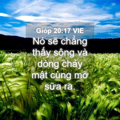 Picture 04 - Gióp 20:17 VIE - Nó sẽ chẳng thấy sông và dòng chảy - Bible Verse Picture