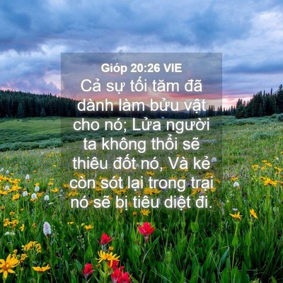 Picture 04 - Gióp 20:26 VIE - Cả sự tối tăm đã dành làm bửu vật - Bible Verse Picture