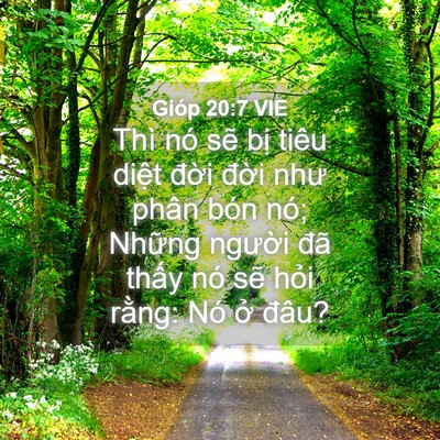 Picture 04 - Gióp 20:7 VIE - Thì nó sẽ bị tiêu diệt đời đời - Bible Verse Picture