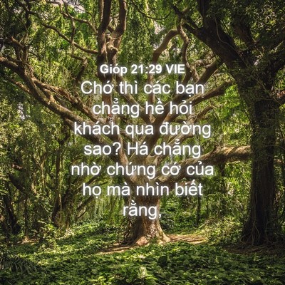 Picture 04 - Gióp 21:29 VIE - Chớ thì các bạn chẳng hề hỏi khách - Bible Verse Picture
