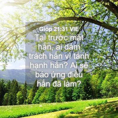 Picture 04 - Gióp 21:31 VIE - Tại trước mặt hắn, ai dám trách hắn - Bible Verse Picture