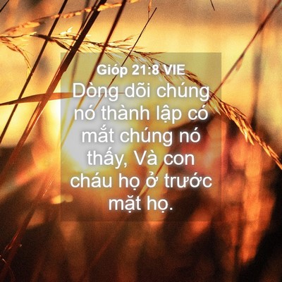 Picture 04 - Gióp 21:8 VIE - Dòng dõi chúng nó thành lập có mắt - Bible Verse Picture