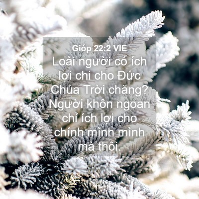 Picture 04 - Gióp 22:2 VIE - Loài người có ích lợi chi cho Đức - Bible Verse Picture