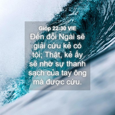 Picture 04 - Gióp 22:30 VIE - Đến đỗi Ngài sẽ giải cứu kẻ có - Bible Verse Picture