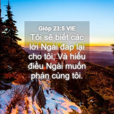 Picture 04 - Gióp 23:5 VIE - Tôi sẽ biết các lời Ngài đáp lại cho - Bible Verse Picture