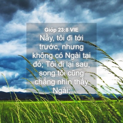 Picture 04 - Gióp 23:8 VIE - Nầy, tôi đi tới trước, nhưng không có - Bible Verse Picture