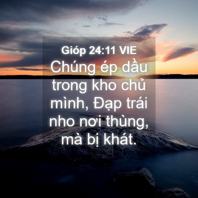 Picture 04 - Gióp 24:11 VIE - Chúng ép dầu trong kho chủ mình, Đạp - Bible Verse Picture