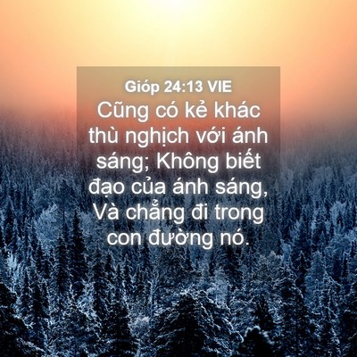 Picture 04 - Gióp 24:13 VIE - Cũng có kẻ khác thù nghịch với ánh - Bible Verse Picture