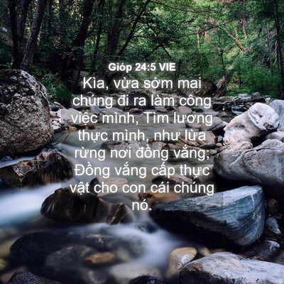 Picture 04 - Gióp 24:5 VIE - Kìa, vừa sớm mai chúng đi ra làm công - Bible Verse Picture