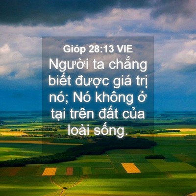 Picture 04 - Gióp 28:13 VIE - Người ta chẳng biết được giá trị - Bible Verse Picture