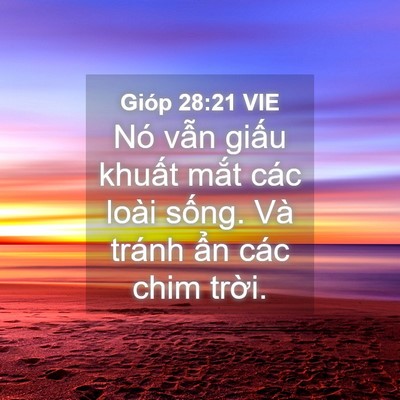 Picture 04 - Gióp 28:21 VIE - Nó vẫn giấu khuất mắt các loài sống. - Bible Verse Picture