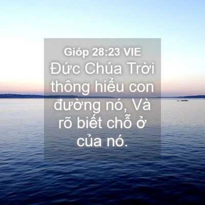 Picture 04 - Gióp 28:23 VIE - Đức Chúa Trời thông hiểu con đường - Bible Verse Picture