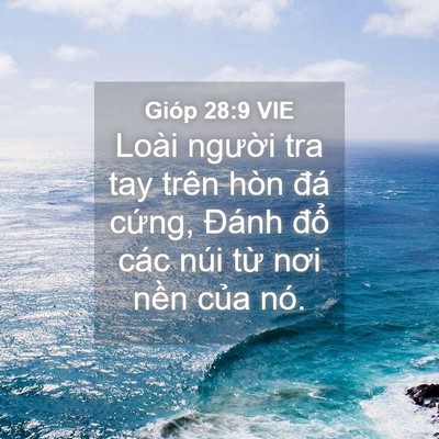 Picture 04 - Gióp 28:9 VIE - Loài người tra tay trên hòn đá cứng, - Bible Verse Picture