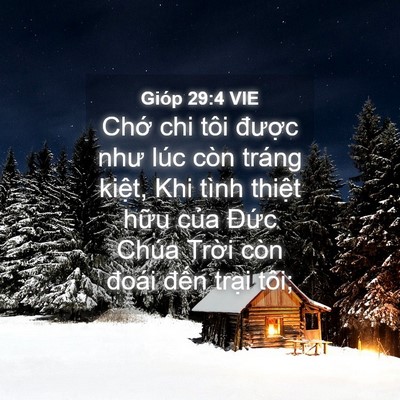 Picture 04 - Gióp 29:4 VIE - Chớ chi tôi được như lúc còn tráng - Bible Verse Picture
