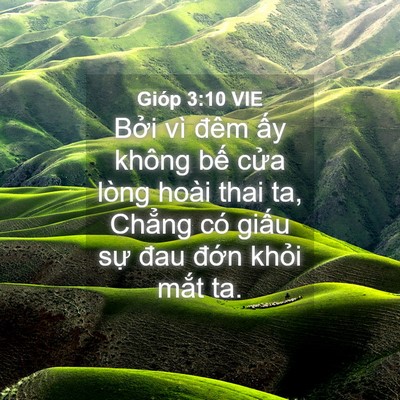 Picture 04 - Gióp 3:10 VIE - Bởi vì đêm ấy không bế cửa lòng - Bible Verse Picture