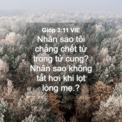 Picture 04 - Gióp 3:11 VIE - Nhân sao tôi chẳng chết từ trong tử - Bible Verse Picture