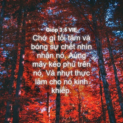 Picture 04 - Gióp 3:5 VIE - Chớ gì tối tăm và bóng sự chết nhìn - Bible Verse Picture
