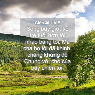 Picture 04 - Gióp 30:1 VIE - Song bây giờ, kẻ trẻ tuổi hơn tôi - Bible Verse Picture