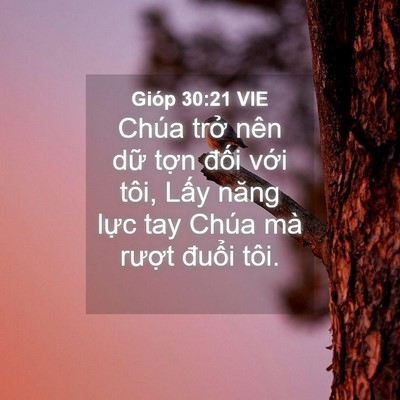 Picture 04 - Gióp 30:21 VIE - Chúa trở nên dữ tợn đối với tôi, - Bible Verse Picture