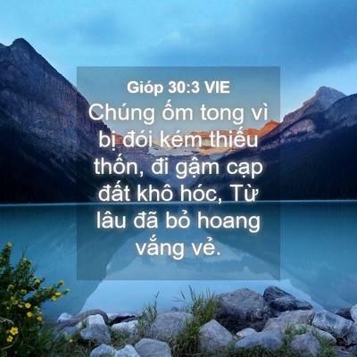 Picture 04 - Gióp 30:3 VIE - Chúng ốm tong vì bị đói kém thiếu - Bible Verse Picture