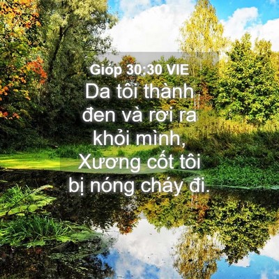 Picture 04 - Gióp 30:30 VIE - Da tôi thành đen và rơi ra khỏi mình, - Bible Verse Picture