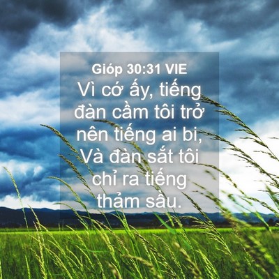 Picture 04 - Gióp 30:31 VIE - Vì cớ ấy, tiếng đàn cầm tôi trở - Bible Verse Picture