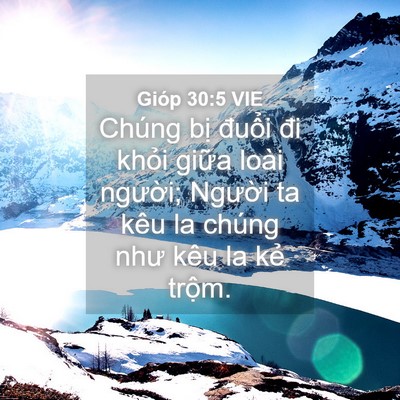 Picture 04 - Gióp 30:5 VIE - Chúng bị đuổi đi khỏi giữa loài - Bible Verse Picture