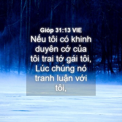 Picture 04 - Gióp 31:13 VIE - Nếu tôi có khinh duyên cớ của tôi trai - Bible Verse Picture