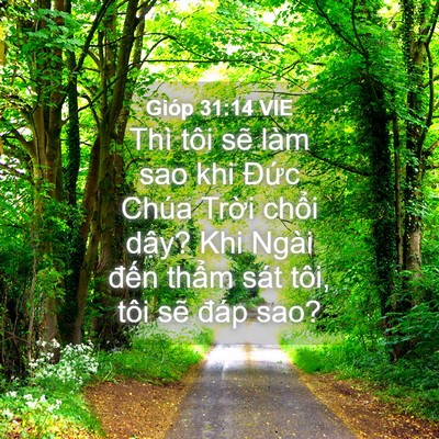 Picture 04 - Gióp 31:14 VIE - Thì tôi sẽ làm sao khi Đức Chúa Trời - Bible Verse Picture