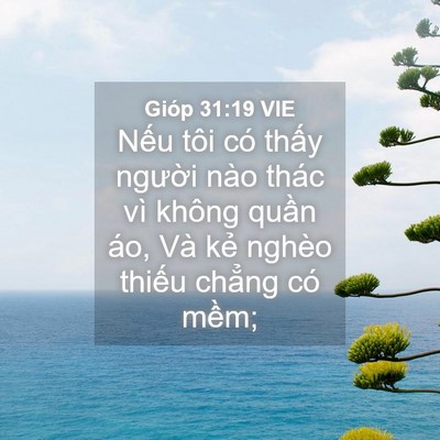 Picture 04 - Gióp 31:19 VIE - Nếu tôi có thấy người nào thác vì - Bible Verse Picture