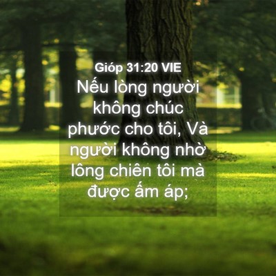 Picture 04 - Gióp 31:20 VIE - Nếu lòng người không chúc phước cho - Bible Verse Picture