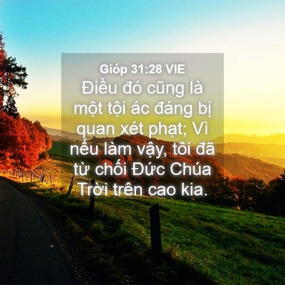 Picture 04 - Gióp 31:28 VIE - Điều đó cũng là một tội ác đáng - Bible Verse Picture