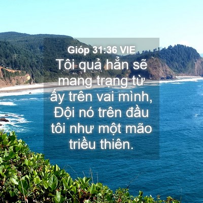 Picture 04 - Gióp 31:36 VIE - Tôi quả hẳn sẽ mang trạng từ ấy - Bible Verse Picture