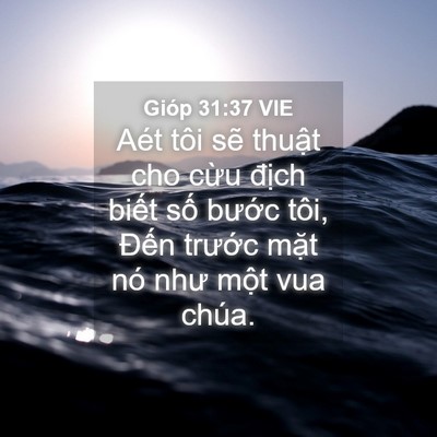 Picture 04 - Gióp 31:37 VIE - Aét tôi sẽ thuật cho cừu địch biết - Bible Verse Picture