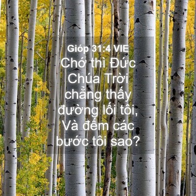 Picture 04 - Gióp 31:4 VIE - Chớ thì Đức Chúa Trời chẳng thấy - Bible Verse Picture