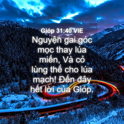 Picture 04 - Gióp 31:40 VIE - Nguyện gai góc mọc thay lúa miến, Và - Bible Verse Picture