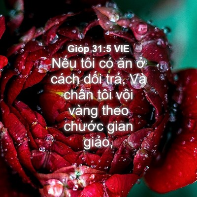 Picture 04 - Gióp 31:5 VIE - Nếu tôi có ăn ở cách dối trá, Và - Bible Verse Picture