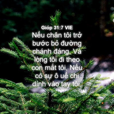 Picture 04 - Gióp 31:7 VIE - Nếu chân tôi trở bước bỏ đường - Bible Verse Picture