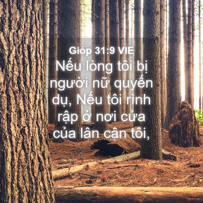 Picture 04 - Gióp 31:9 VIE - Nếu lòng tôi bị người nữ quyến dụ, - Bible Verse Picture